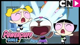 Bliss Cuatro al poder Parte 3  Las Chicas Superpoderosas  Cartoon Network [upl. by Adnoryt]