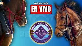 Breeders´ Cup 2024  Análisis  EN VIVO [upl. by Burrill]