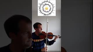 Musician The 14th Melody D Grayman  violin cover [upl. by Aihsened]