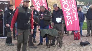 Copa Zamora Galgos 2024  Dieciseisavos [upl. by Aitak]