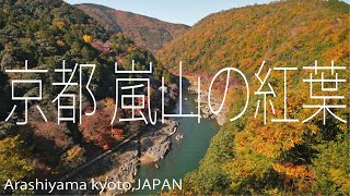 【4K】嵐山の紅葉 京都紅葉 autumn leaveskyoto [upl. by Nert]