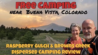 Free Camping Near Buena Vista ColoradoRaspberry Gulch amp Browns Creek Dispersed Camping Area Review [upl. by Atsyrk11]