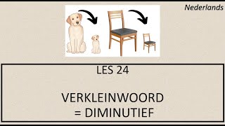 NT2  LES 24  HET VERKLEINWOORD DIMINUTIEF  Küçültme eki [upl. by Dric704]