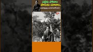 పల్లెకు పోదాం పారును చూదాంPelleku Podam Parunu Choodam Song  Devadasu Shorts Youtubeshorts [upl. by Bronder]