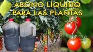 ABONO LÍQUIDO PARA TUS PLANTAS A PARTIR DE ESTIERCOL [upl. by Aylmer414]