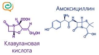 Побыстрому о лекарствах Амоксициллин и клавулановая кислота [upl. by Adi]