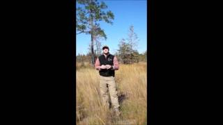 Giving Tuesday Longleaf Pine Ecosystem [upl. by Enetsuj]