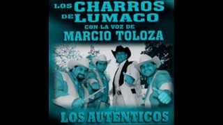 Marcio Toloza y LOS CHARROS DE LUMACO con el tema INGRATA wwwlgtropichilecom [upl. by Yetsirhc]