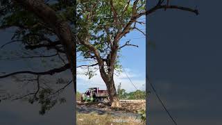 Attingal bypass road updates 030323 [upl. by Ahseikram]