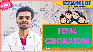 Fetal Circulation  Embryology🎯 Made Easy✅ [upl. by Maer]