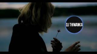 Danena Thuru Maa Remix  Dj Thiwanka Lyrics [upl. by Schoenfelder457]