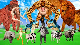 Giant Tiger Wolf vs Giant Snake vs Mammoth Elephant  Bagh or Saamp vs Hathi  बाघ vs साँप vs हाथी [upl. by Mont501]