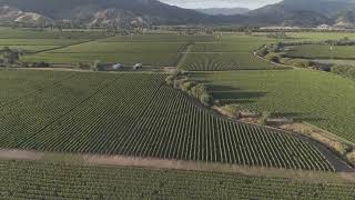 Marlborough Wine Country New Zealand [upl. by Campball]