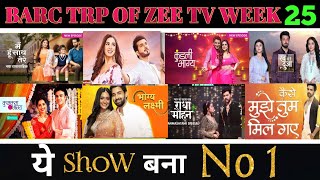 Zee TV All Shows Barc Trp of This Week 25 2024  Barc Trp Of Zee TV [upl. by Brock]