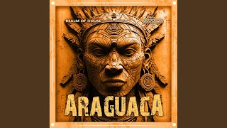 Araguaca Arawakan Energy mix [upl. by Velick]