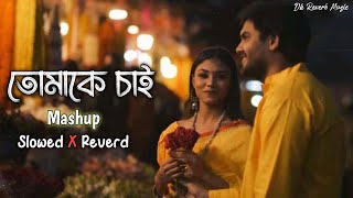 Tomake Chai Mashup Lofi Song  Slowed X Reverb  তোমাকে চাই  Arijit Singh  Dk Reverb Music [upl. by Guidotti]