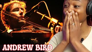 Pure talent First time hearing  Andrew Bird  three white horses  reaction [upl. by Sarad]