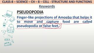 Definition of Pseudopodia for class 8 science [upl. by Brainard]