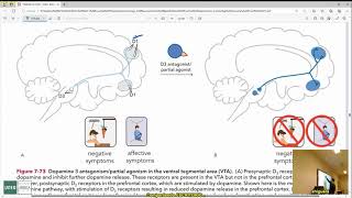 Psicofarmacología 🧠💊 Estabilizadores EAA by Alejandro Higuera [upl. by Annaoi]