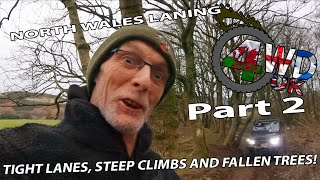 NORTH WALES GREEN LANES PART 2  tough climbs damaged trucks  more trees  Disco 2 Def 90  4WD UK [upl. by Rebbecca]