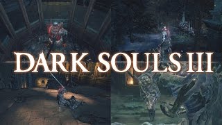 The Complete Guide To Dark Souls 3  Consumed Kings Garden and Oceiros [upl. by Ynattir364]