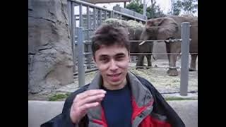 Me at the zoo [upl. by Litta]