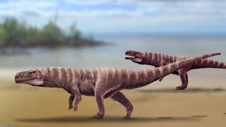 Batrachopus grandis A Bipedal Crocodile Relative From the Time Of The Dinosaurs [upl. by Gershon]