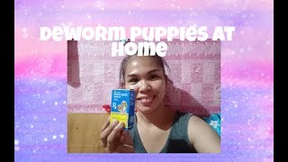 HOW TO DEWORM YOUR PUPPIES AT HOME [upl. by Mendes]