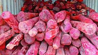 Red Sanders  Pterocarpus santalinus [upl. by Shirline]