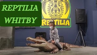 reptilia zoo whitby in 2022  reptilia toronto [upl. by Ancilin392]