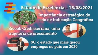 Estado de Excelência  15082021 [upl. by Innaig]