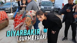 Diyarbakır 6 Mezopotamya Gurme Fuarı [upl. by Krum]