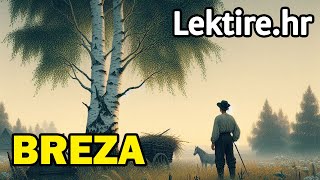 Breza lektira kratak sadržaj  Lektirehr [upl. by Myrna836]