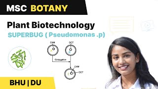 Superbug  Pseudomonas Putida  Plant Biotechnology  BHU  DU MSc Entrance  In Hindi [upl. by Yrokcaz]