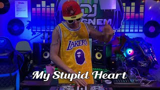 New Tiktok Viral  My Stupid Heart Budots Remix  Dj Ericnem [upl. by Aiet]