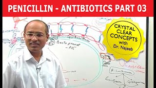 Penicillin  Antibiotics  Dr Najeeb  Part 34 [upl. by Balac838]