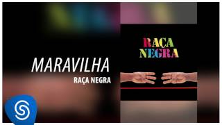 Raça Negra  Maravilha Raça Negra Vol 6 Áudio Oficial [upl. by Naryt]