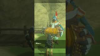 The Song of a Bird on the Mountainside in Zelda BOTW  Zelda Breath of the Wild Zelda botw shorts [upl. by Renato]