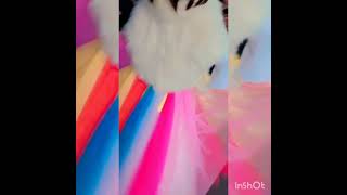 Kesi lag rhi hu mai fancy dress 👗 competition Amayra rainbow dress 👗 [upl. by Nawrocki794]