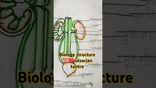 biology diagram class important 11th exam biology youtubeshorts structure utsarjan tantra📚📔💯💯 [upl. by Aihsemat617]