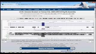 2 UCSC Genome Browser Tutorial tracks [upl. by Annyl]