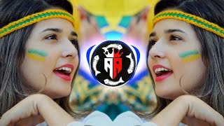 Farsi remix song ❤️  Farsi Song 🎧  TikTok viral song  Most Trending song [upl. by Earehc]