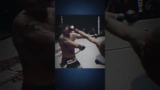 GSP SMASH Jake Shields [upl. by Yroffej]