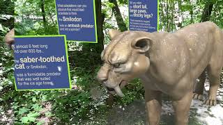 Saber Tooth Cat AR Exhibit experience [upl. by Lannie]