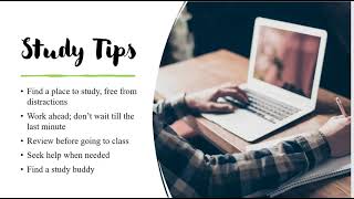 How to Study to Learn by Sally Jackman [upl. by Moe]