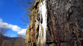 Time Lapse  Icicles Melting in the Sun [upl. by Annabel]