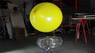 BIG balloon on a BIG fan [upl. by Frans]