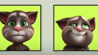 ¡Seriedad  Cortos de Talking Tom  Dibujos animados para niños  WildBrain Niños [upl. by Alvan975]