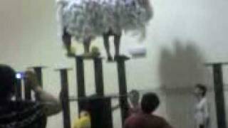 kwong ngai lion dance practice 光艺练习 [upl. by Hairej]