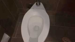 Worlds loudest toilet flush Sound effect of Toilet flushing [upl. by Nekcarb]